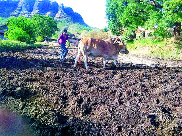Accelerated pre-sowing tillage in Igatpuri | इगतपुरीत पेरणीपूर्व मशागतीला वेग