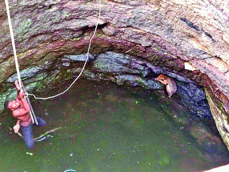 Wildlife lovers live to foxes who fall down in wells at Junnar | जुन्नर येथे विहिरीत पडलेल्या कोल्ह्याला वन्यजीवप्रेमींकडून जीवदान