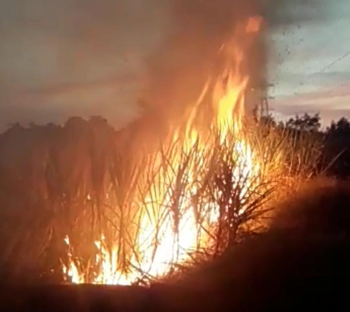 Burn 1.5 acres of sugarcane in a fire caused by a short circuit | शॉर्टसर्किटमुळे लागलेल्या आगीत दिड एकर ऊस जळून खाक
