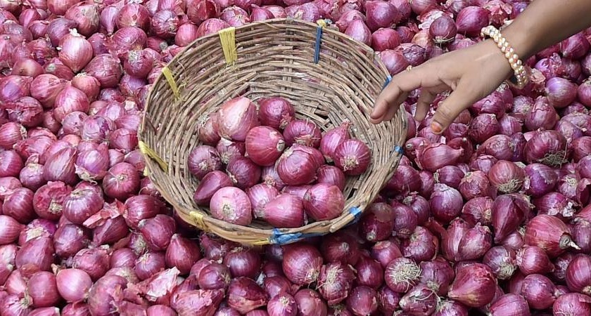 Reduction in red onion prices in Umran | उमराणेत लाल कांदा दरात घसरण