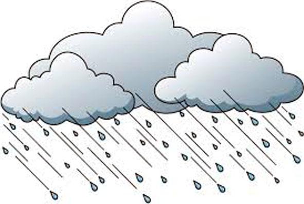 Parbhani: The presence of strong rainfall across the district | परभणी : जिल्हाभरात दमदार पावसाची हजेरी