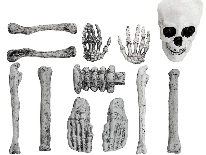 nashik,human,bones,found,in,the,rock | सिडकोत खोदकाम करतांना आढळली मानवी हाडे