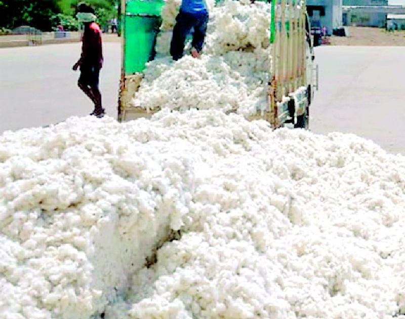 Start government procurement of cotton and chana | कापूस, चण्याची शासकीय खरेदी सुरू करा