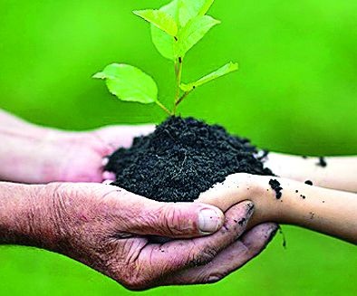 Aim of 26.71 lakhs plantation purpose | २६.७१ लाख वृक्ष लागवडीचे उद्दिष्ट