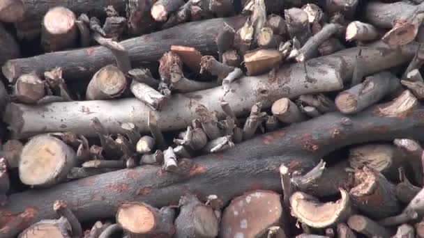 Free firewood for funerals in Satana | सटाण्यात अंत्यसंस्कारासाठी मोफत लाकडे