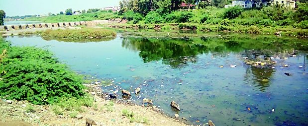 Pus river cleanliness campaign through public participation | लोकसहभागातून पूस नदी स्वच्छता मोहीम