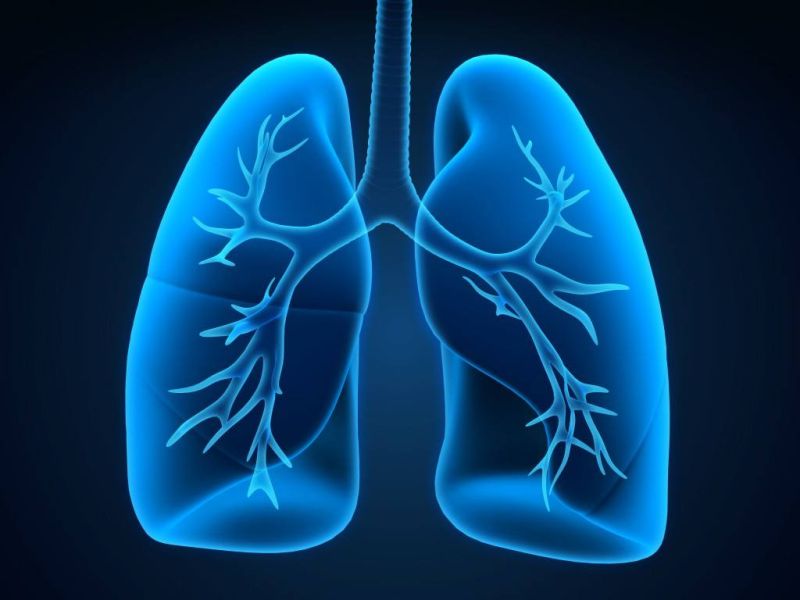 World Lungs Day; The 'Lung Institute' proposal is on paper | जागतिक फुफ्फुस दिन; ‘लंग इन्स्टिट्यूट’चा प्रस्ताव कागदावरच