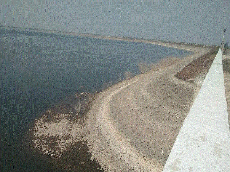 Sanjivani became Manjra Dam during the famine of Ain | ऐन दुष्काळात मांजरा धरण ठरले संजीवनी