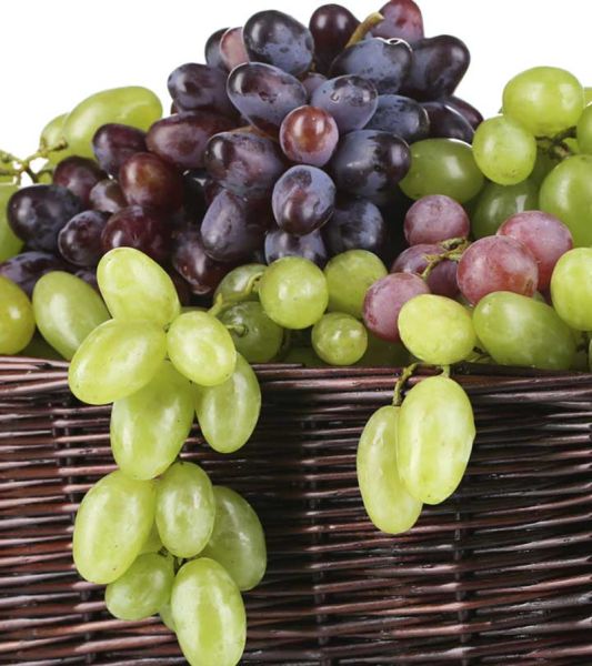 Be aware while eating Grapes ; The risk of excessive use of pesticides | जपून खा द्राक्षं; कीटकनाशकांच्या जास्त वापराचा धोका