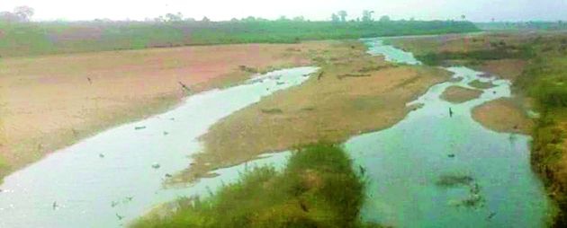 The river of the river Andhari dry | अंधारी नदीचे पात्र कोरडे
