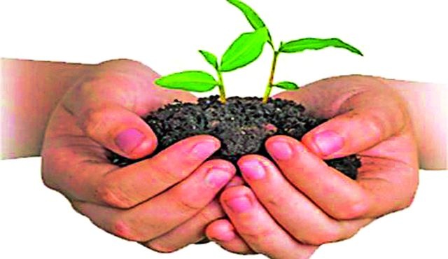Mini ministry to plant 12 lakh trees | मिनी मंत्रालय करणार १२ लाख वृक्ष लागवड