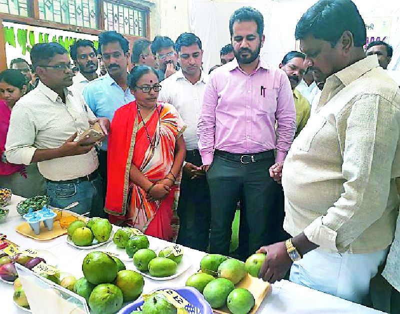 Empowerment from mango crop | आंबा पिकातून समृद्धी साधा