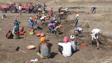 8 thousand laborers on Roho works | रोहयो कामांवर ८ हजार मजूर