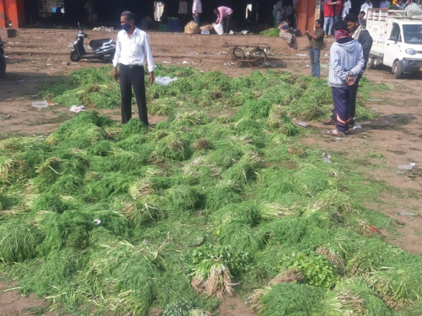 Farmers return after throwing fenugreek, shepu and cilantro in the market committee! | मेथी,शेपू, कोथींबीर बाजार समितीत टाकून शेतकरी परतले!