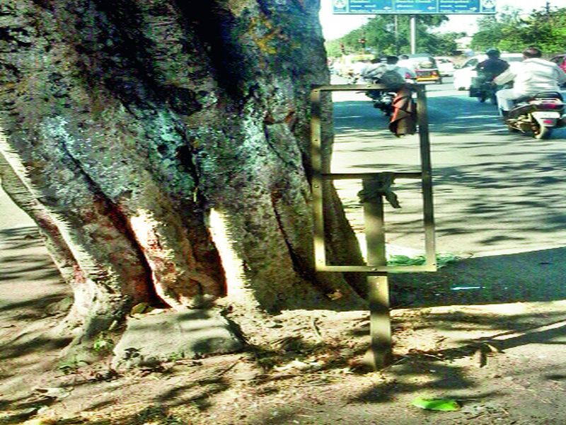 Obstacle in the middle of the road; Tree is going to die ... | रस्त्याच्या मध्यभागीच अडथळा; वृक्ष ठरताहेत जीवघेणे...
