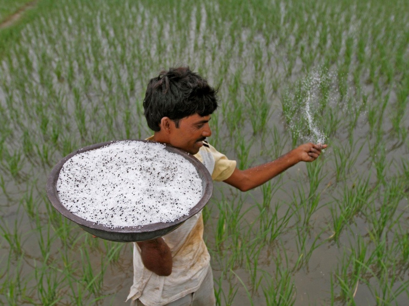 Fertilizers fuels cheaper prices; Tanaamage increase by 25 thousand rupees | रासायनिक खतांच्या किमती भडकल्या; टनामागे अडीच हजारांची वाढ