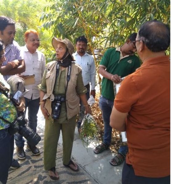 Waheeda Rehman visited Tadoba forest safari .. | वहिदा रहेमान यांनी लुटला ताडोबा जंगल सफारीचा आनंद..