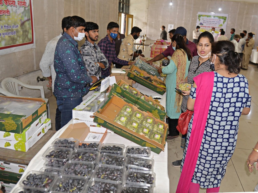 Kolhapurites are fascinated by the sweet grapes of Sangli | सांगलीच्या सुमधूर द्राक्षांची कोल्हापुरकरांना भूरळ