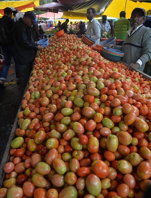 Vegetables: Red fenugreek tomatoes dropped two rupees | लालभडक टोमॅटो दोन रुपयांवर, ऐन श्रावणात भाजीपाला घसरला : मेथी दहा रुपयांना तीन पेंढ्या