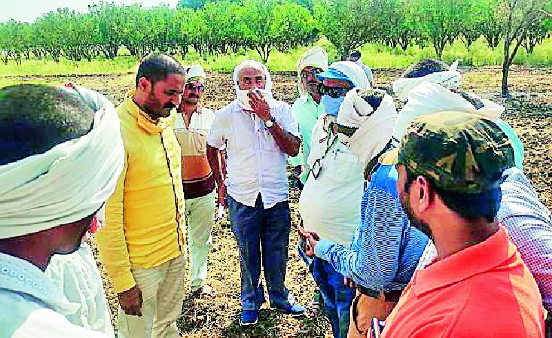 Scientists, officials, people's representatives on the agriculture | शास्त्रज्ञ, अधिकारी, लोकप्रतिनिधी बांधावर