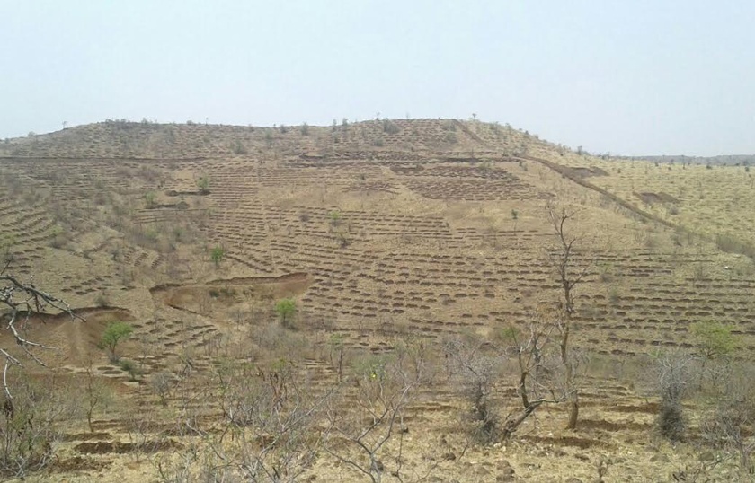 The purpose of the cultivation of 33 lakh 22 thousand trees in Beed district | बीड जिल्ह्याला ३३ लाख २२ हजार वृक्ष लागवडीचे उद्दिष्ट