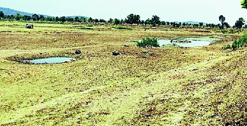 Lakes dry, water scarcity in villages | तलाव कोरडे, गावागावात पाण्याची टंचाई