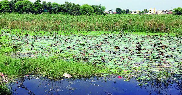 You will be cutting Gandhisagar lake in your village | तुमसरातील गांधीसागर तलाव कात टाकणार