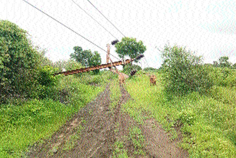 'Rastaroko' by electricity poles in Paldhi Shivara | पाळधी शिवारात विजेच्या खांबांनी केला ‘रास्तारोको’