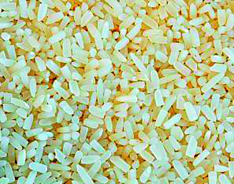 Rice shops contain granulated rice supplies | रेशन दुकानांमध्ये होतोय कणीमिश्रित तांदूळ पुरवठा