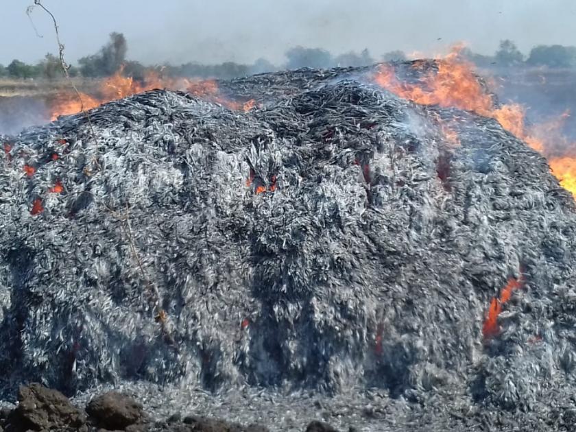  Fateful Ganagi khad with a shednet in the fire at Patoda Shiva | पाटोदा शिवारात आगीत शेडनेटसह चाऱ्याची गंजी खाक