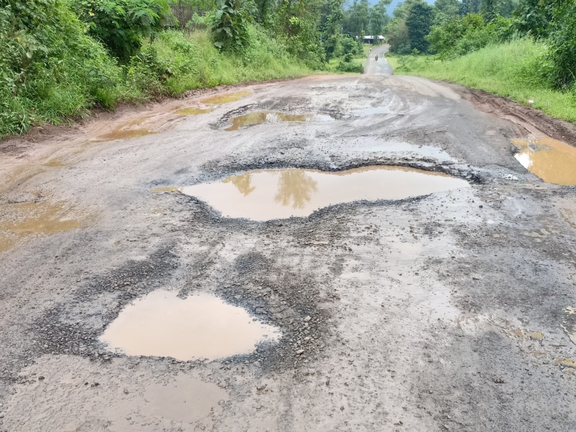 Kingdom of potholes on Borgaon-Bardipada highway | बोरगाव-बर्डीपाडा महामार्गावर खड्ड्यांचे साम्राज्य