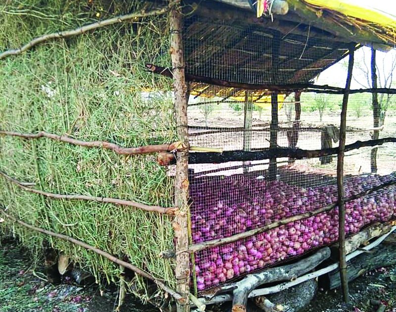  At very low cost; Onion chawl erected in the field | अत्यल्प स्वखर्चातून; शेतात उभी केली कांदा चाळ