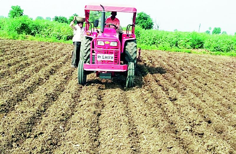 Sowing of Rabi in the district is 38.55 percent | जिल्ह्यात रबीची पेरणी ३८.५५ टक्के