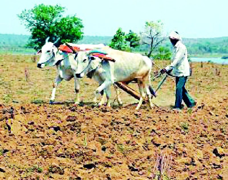 Farmer GST Yoke | शेतकरी जीएसटीच्या जोखडात