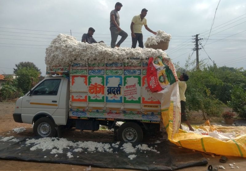 Moisture hinders CCI's cotton procurement | सीसीआयच्या कापूस खरेदीला माॅयश्चरचा अडथळा