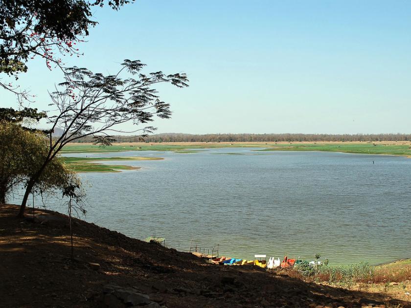 Bhajirath, who revived the Malguzar lake | मालगुजार तलावांना नवसंजीवनी देणारे भगीरथ
