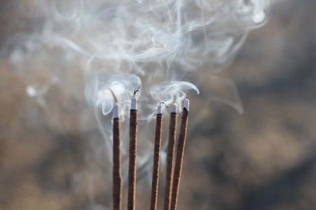 The struggle for bamboo production for the aroma of incense | उदबत्तीच्या सुगंधासाठी बांबू उत्पादनाची धडपड