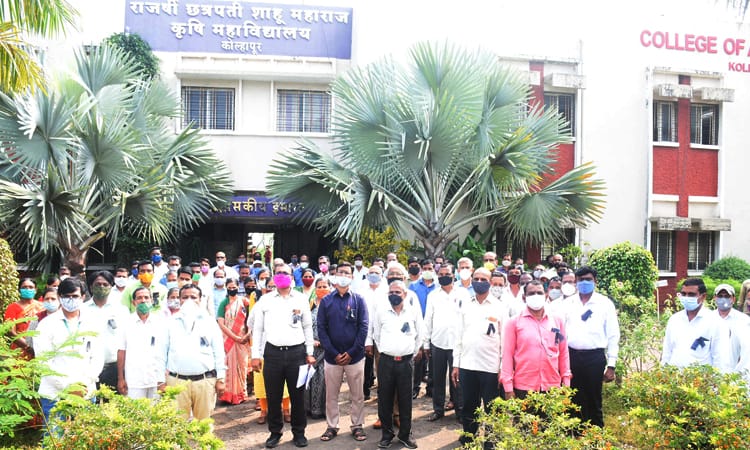 Shramdan agitation of agricultural college employees for 7th pay commission | सातव्या वेतन आयोगासाठी कृषी महाविद्यालयातील कर्मचाऱ्यांचे श्रमदान आंदोलन