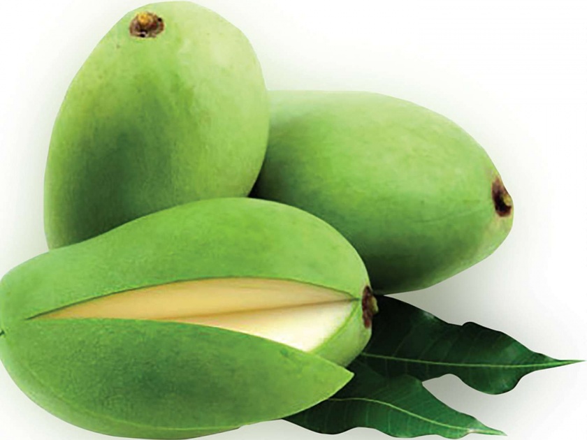 Why should the name of this mango be called 'Langda'? | बनारसच्या या आंब्याचं नाव ‘लंगडा’ असं का पडलं असेल बरं?