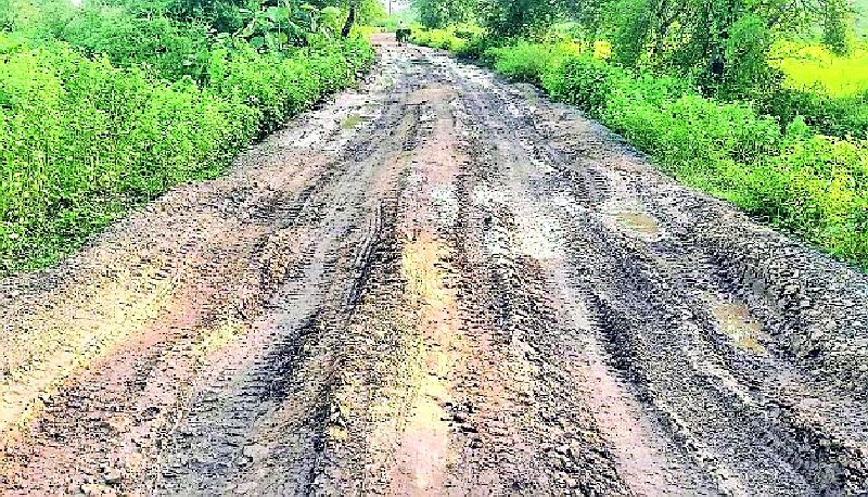 In just four months, the condition of the road deteriorated | अवघ्या चार महिन्यातच झाली रस्त्याची दुरवस्था