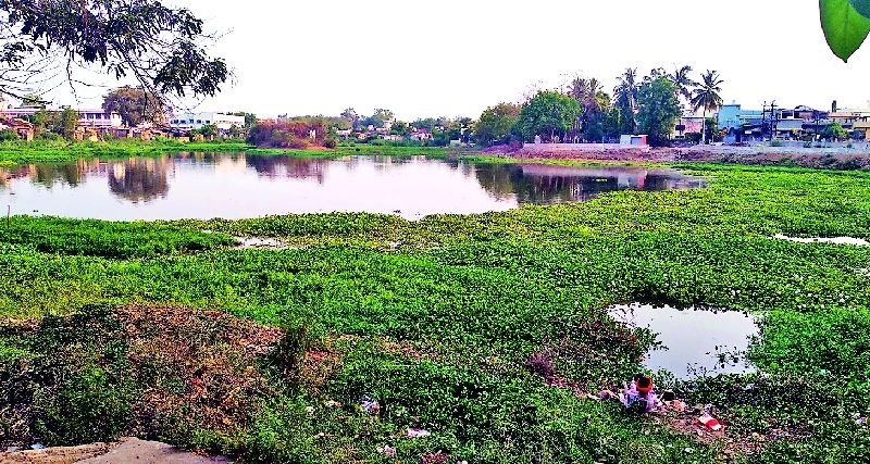 The existence of 28 lakes and bodies in the Bhandara city is in danger | भंडारा शहरातील २८ तलाव व बोडींचे अस्तित्व धोक्यात