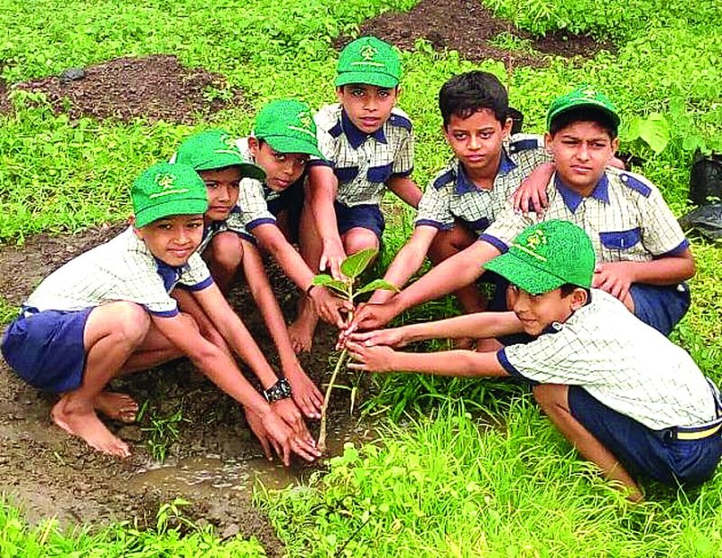 Green Army for tree planting | वृक्ष लागवडीसाठी सरसावली हरित सेना