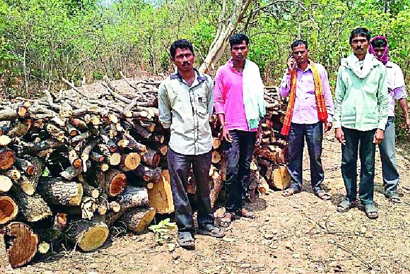 The villagers stopped trees | ग्रामस्थांनी थांबविली वृक्षतोड