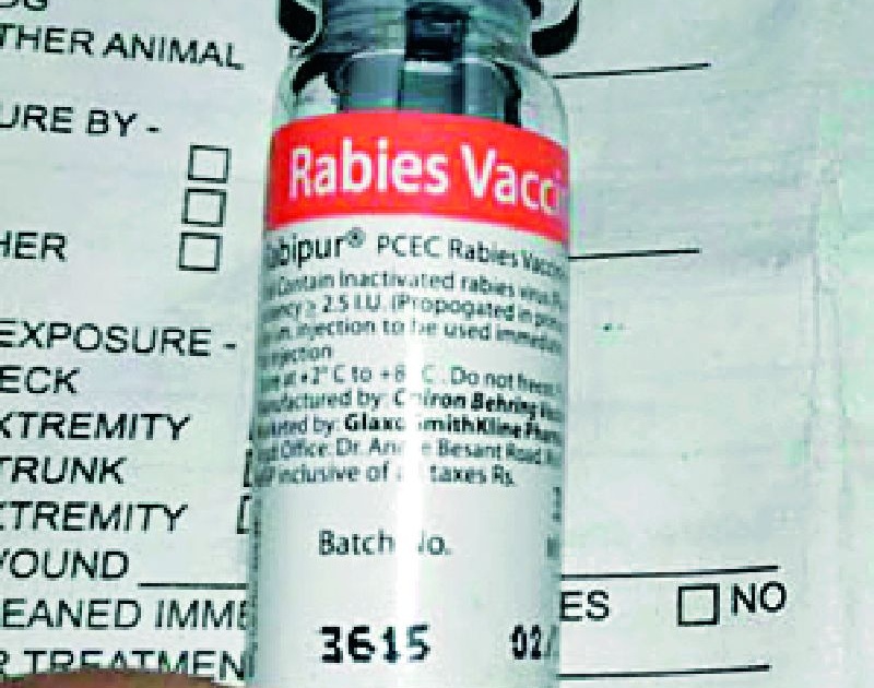 Rabies injection rash in medical | मेडिकलमध्ये रेबीज इंजेक्शनचा तुडवडा