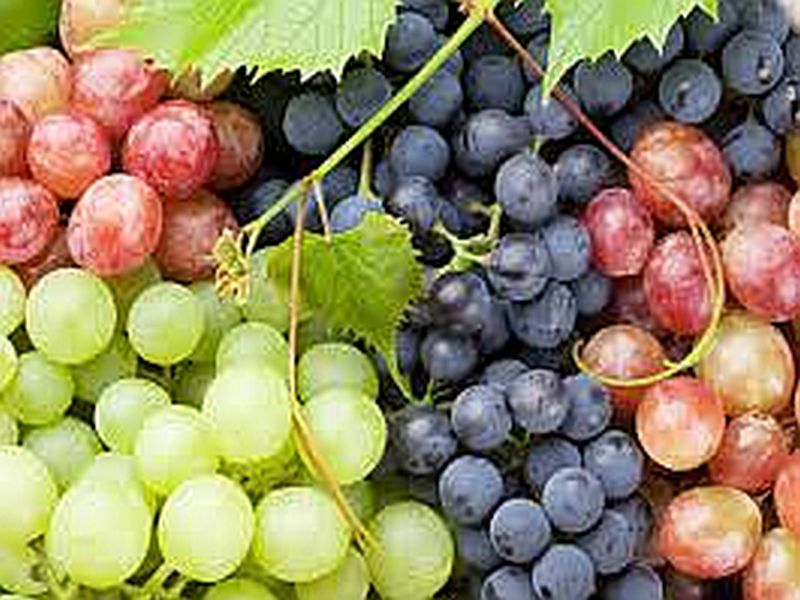 Lock down blow to grape exports | द्राक्ष निर्यातीला लॉक डाऊनचा फटका