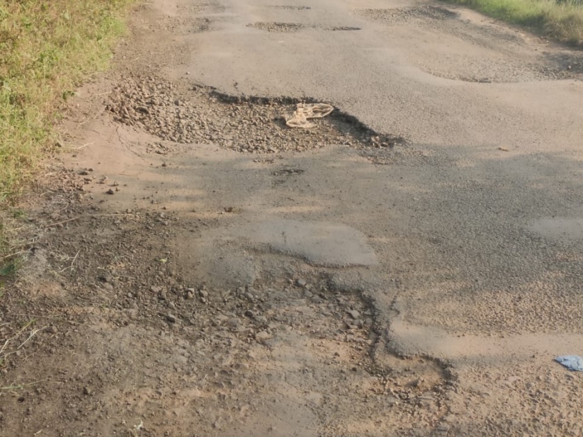 The plight of Pradhan Mantri Gramsadak Yojana road | प्रधानमंत्री ग्रामसडक योजनेच्या रस्त्याची दुर्दशा
