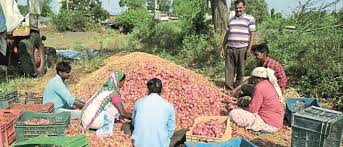 Centre's decision on onion issue is difficult for farmers | कांदा प्रश्नांबाबत केंद्राचे निर्णय शेतकऱ्यांसाठी अडचणीचे