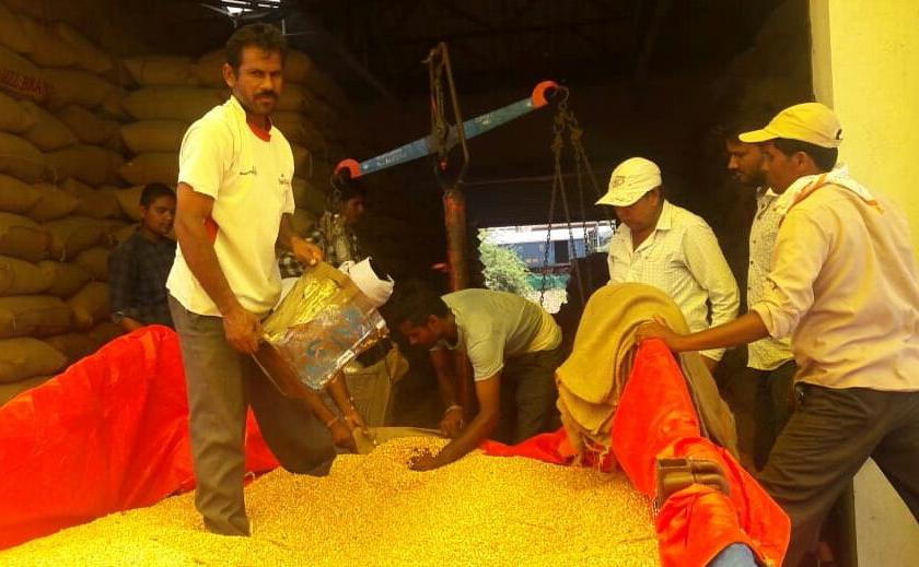 Government resumes corn procurement | सरकारी मका खरेदी पुन्हा सुरू
