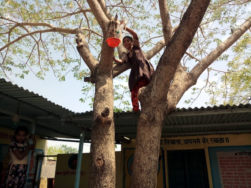 Parbhani: Chimukle, a cobbler who has come to the rescue of birds and trees | परभणी : पक्षी, झाडांच्या संवर्धनासाठी सरसावले पांगरीतील चिमुकले