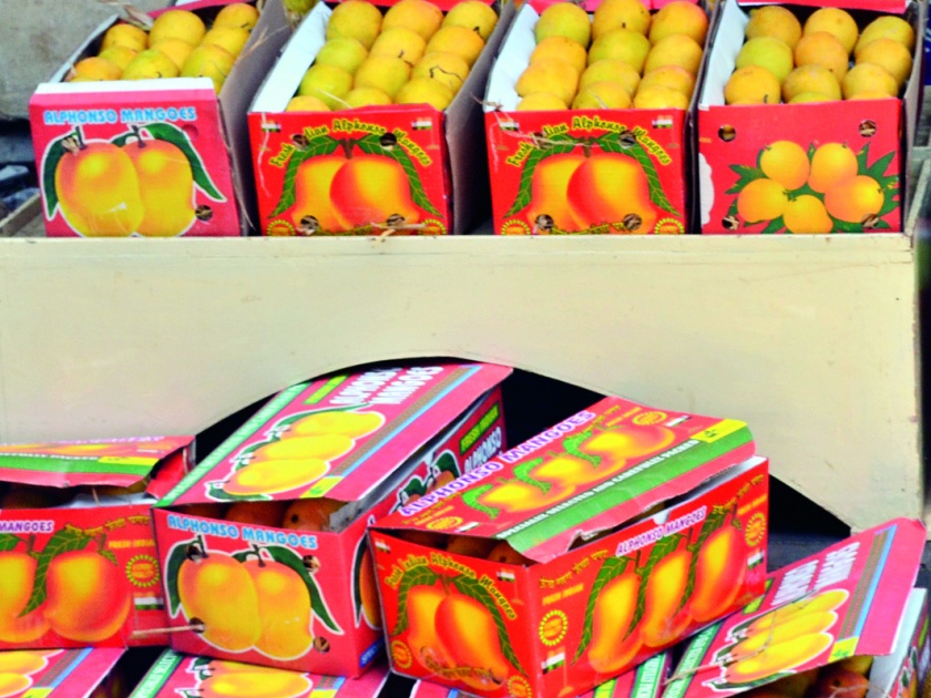 Happus exports from Europe to Ratnagiri, about half a dozen hapus mangoes process | रत्नागिरीतून हापूसची युरोपला निर्यात, साडेचारशे डझन हापूस आंब्यावर प्रक्रिया